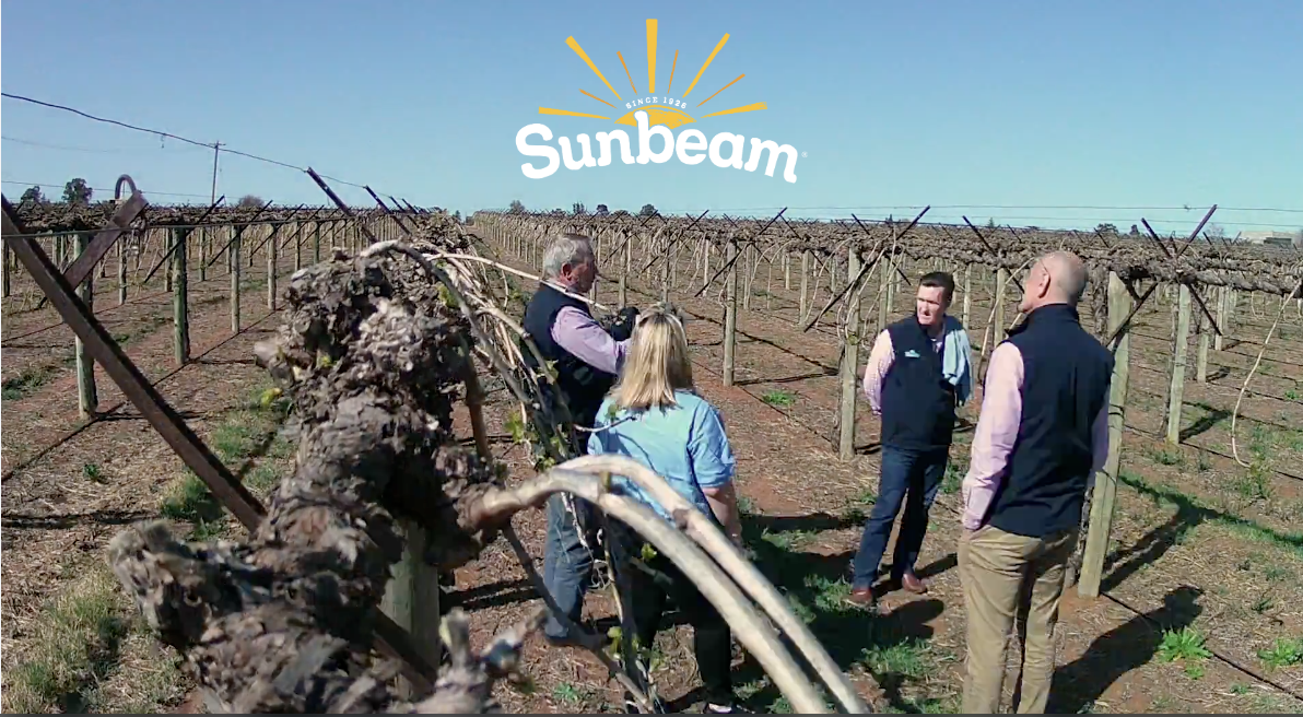 Take a look at our vines growth over August to December 2023