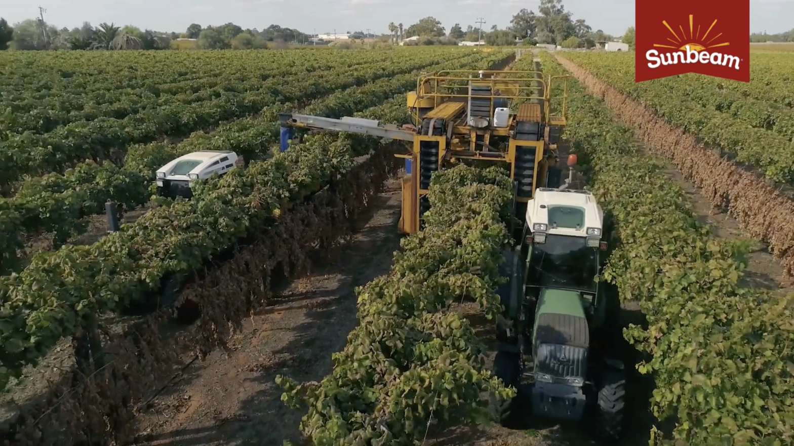 It’s harvest season – June 2024